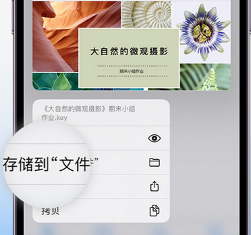 南海apple维修中心分享iPhone文件应用中存储和找到下载文件