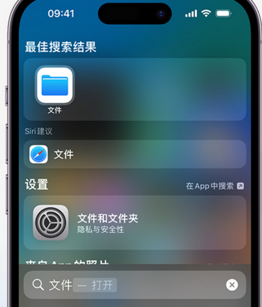 南海apple维修中心分享iPhone文件应用中存储和找到下载文件 