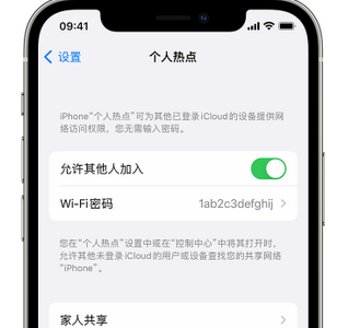 南海apple服务站点分享iPhone上个人热点丢失了怎么办 