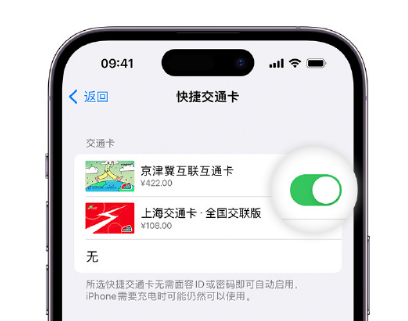 南海apple维修点分享iPhone上更换Apple Pay快捷交通卡手绘卡面 