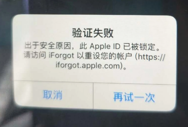 南海iPhone维修分享iPhone上正常登录或使用AppleID怎么办 