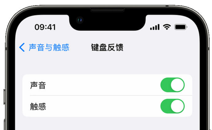 南海苹果手机维修分享iPhone 14触感键盘使用方法 