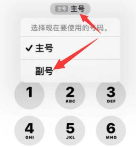 南海苹果14维修店分享iPhone 14 Pro Max使用副卡打电话的方法 