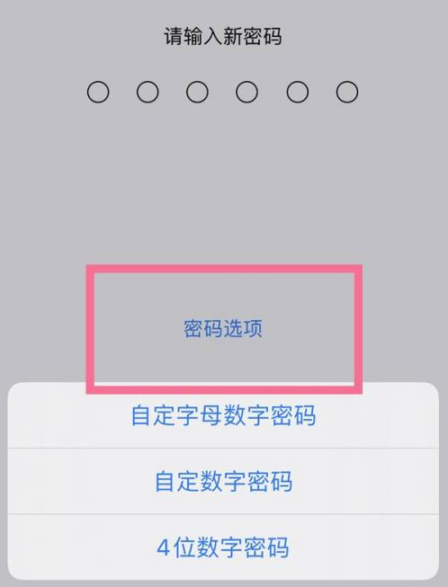 南海苹果14维修分享iPhone 14plus设置密码的方法 