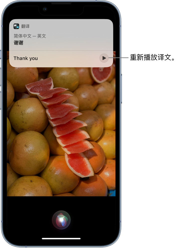 南海苹果14维修分享 iPhone 14 机型中使用 Siri：了解 Siri 能帮你做什么 