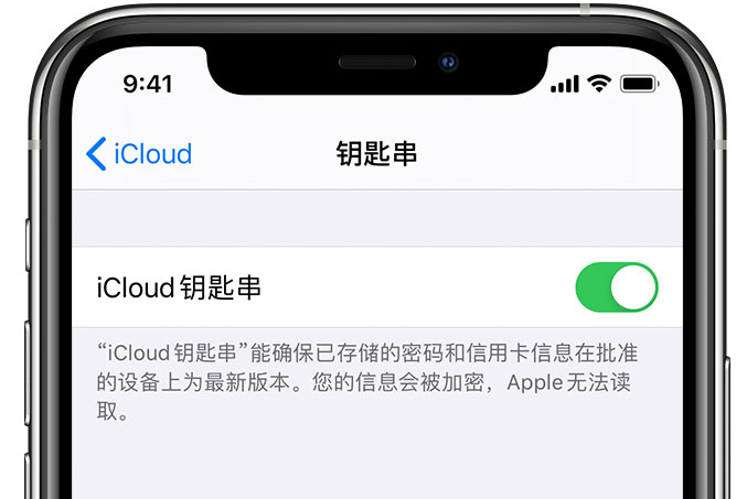 南海苹果手机维修分享在 iPhone 上开启 iCloud 钥匙串之后会储存哪些信息 