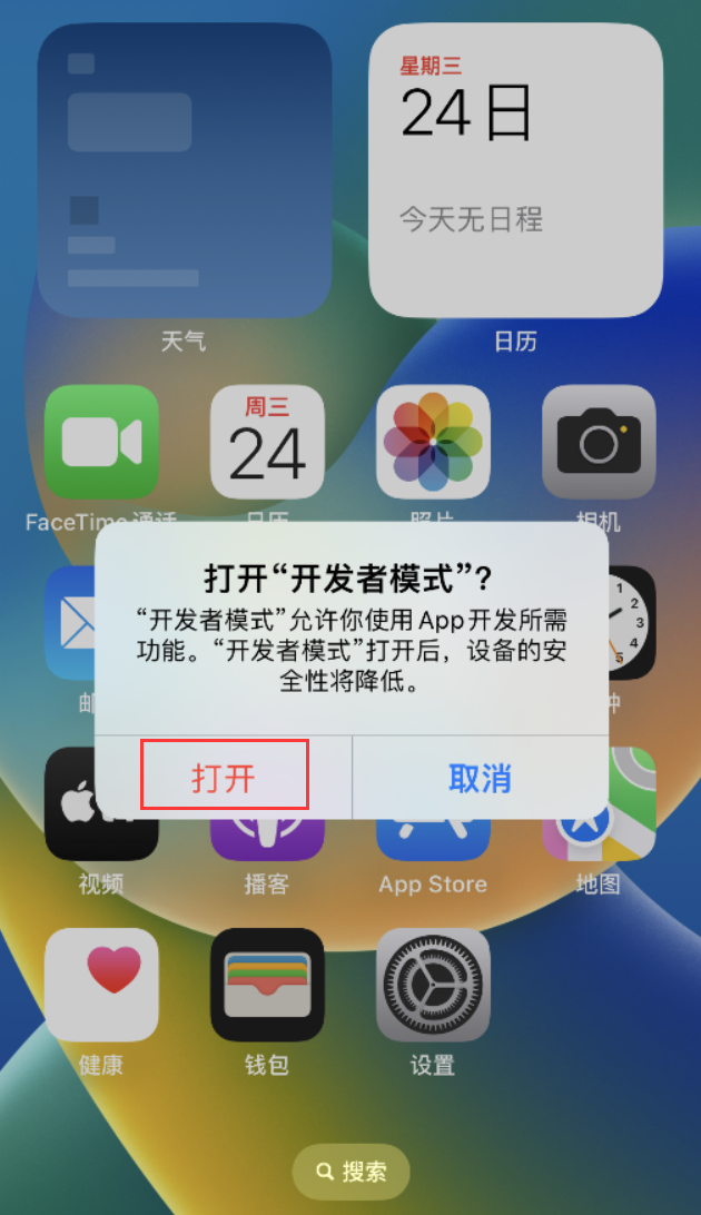 南海苹果手机维修分享如何打开开发者模式 