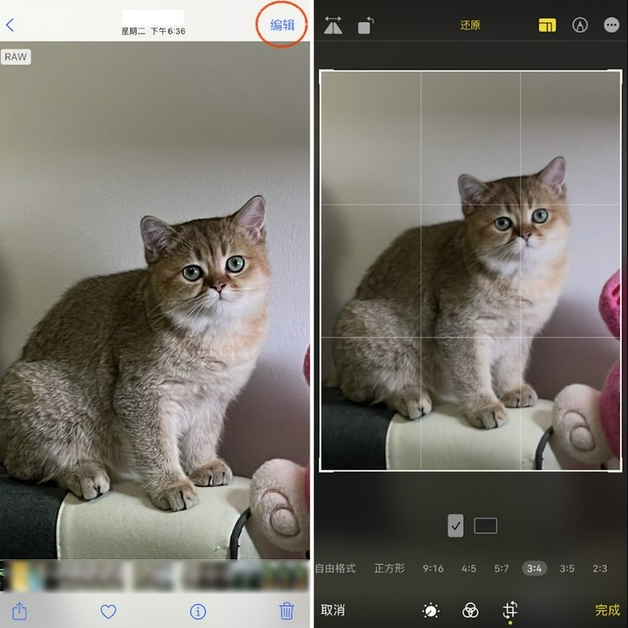 南海苹果手机维修分享苹果 iPhone 12 Pro 拍照会过度锐化 